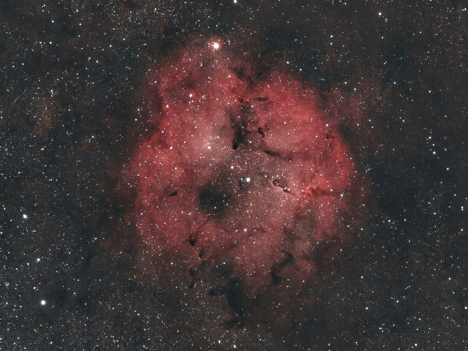 IC1396_1.jpg