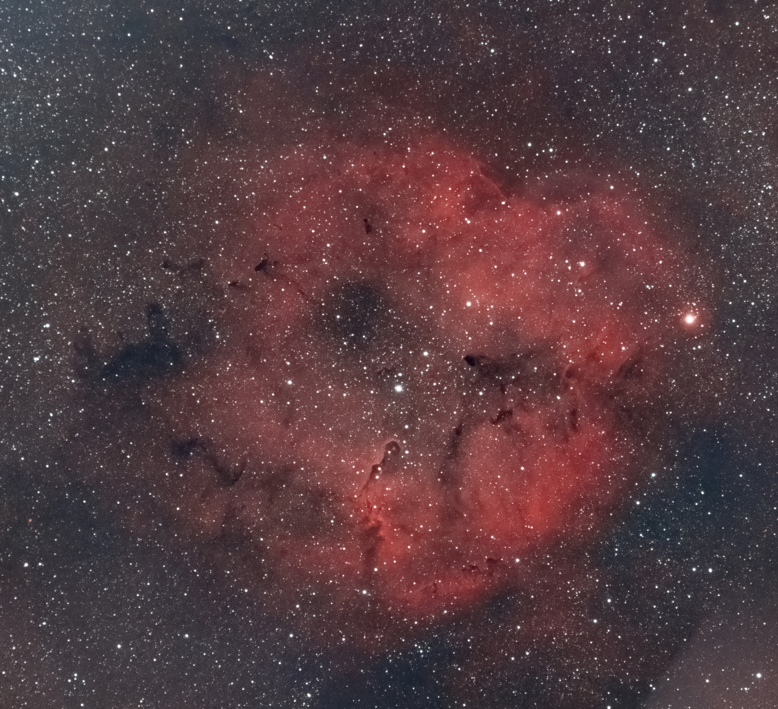 IC1396_sm.jpg