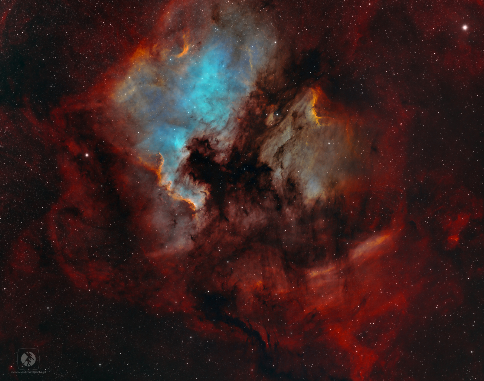 NGC7000-Amelican-final.thumb.jpg.234400e0161d8d40cd6d04a09a9cad43.jpg