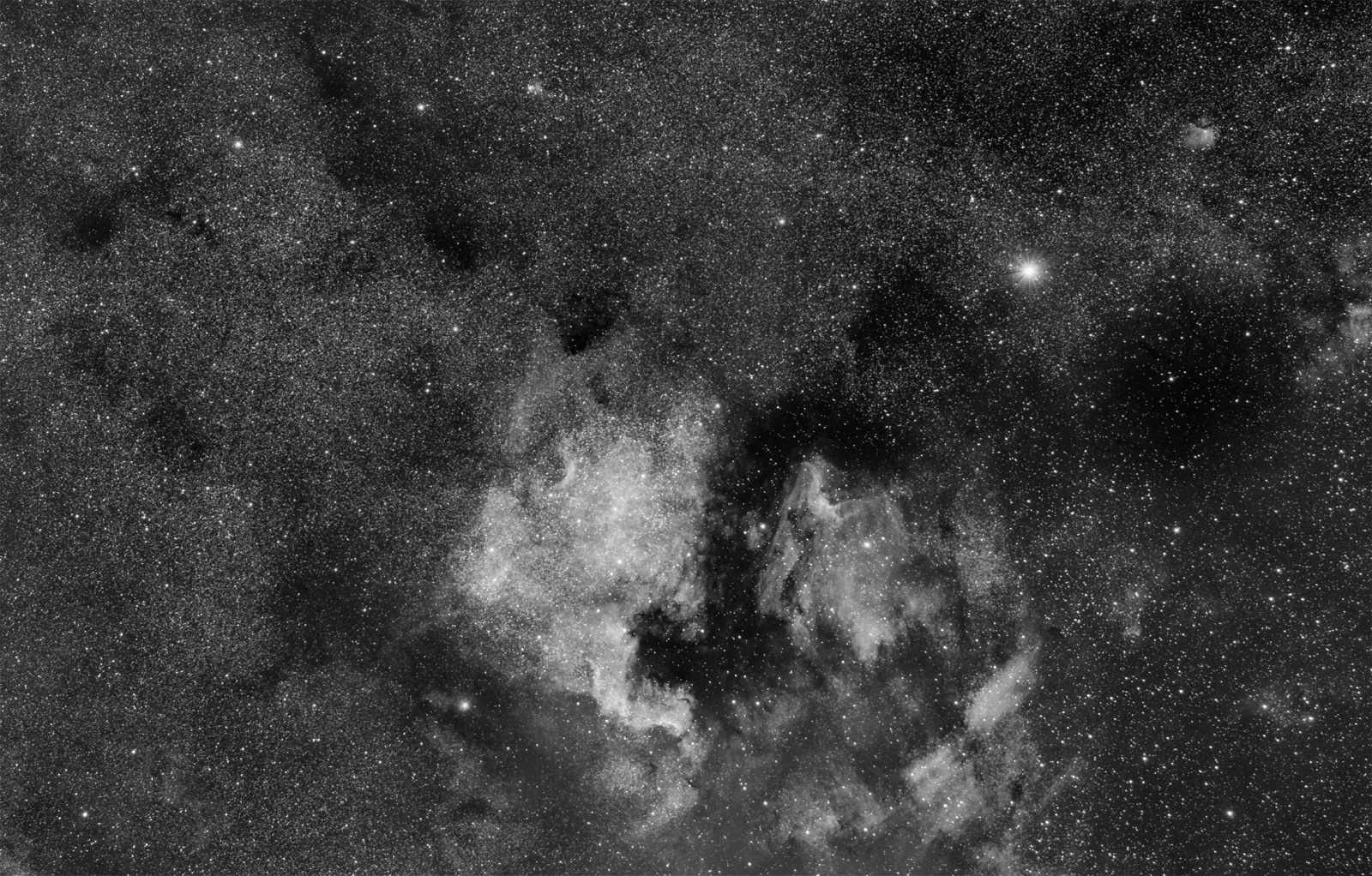NGC7000_newBW_small.thumb.jpg.0f5390cb0049c216b7ad25acbf07d7e1.jpg