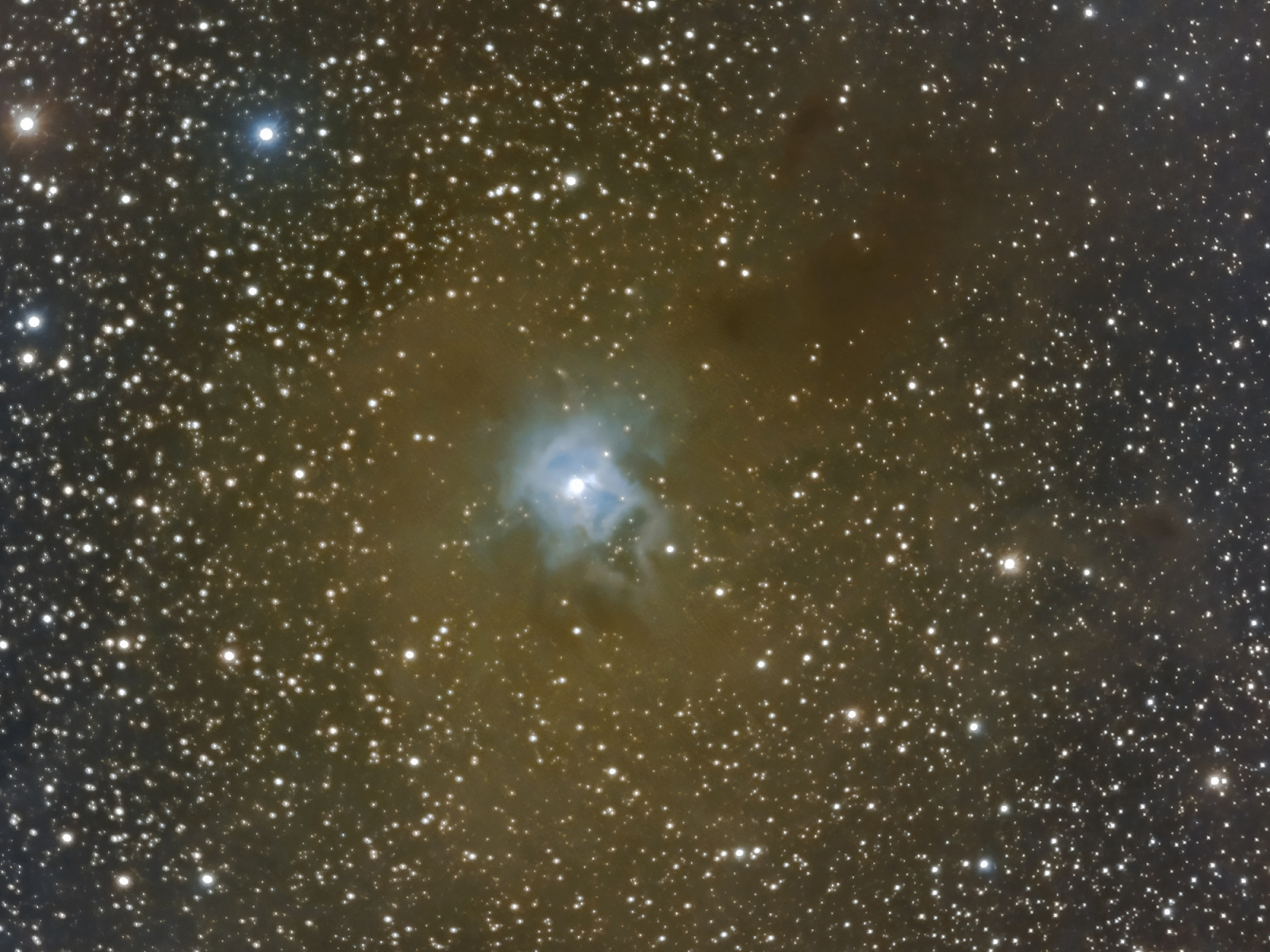 NGC7023_2_sm.jpg