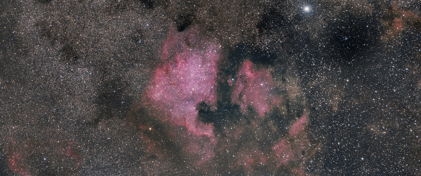 NGC_7000_finalversion_narrow_small.jpg