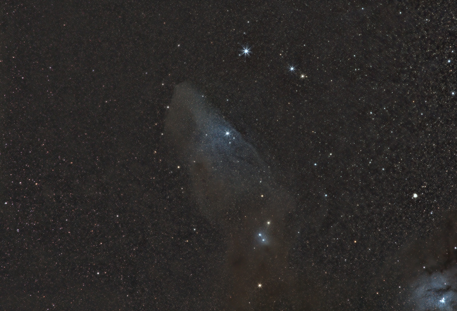 Blue_Horsehead_Nebula.thumb.jpg.0305647207c53223397b859f1bc0bf6f.jpg