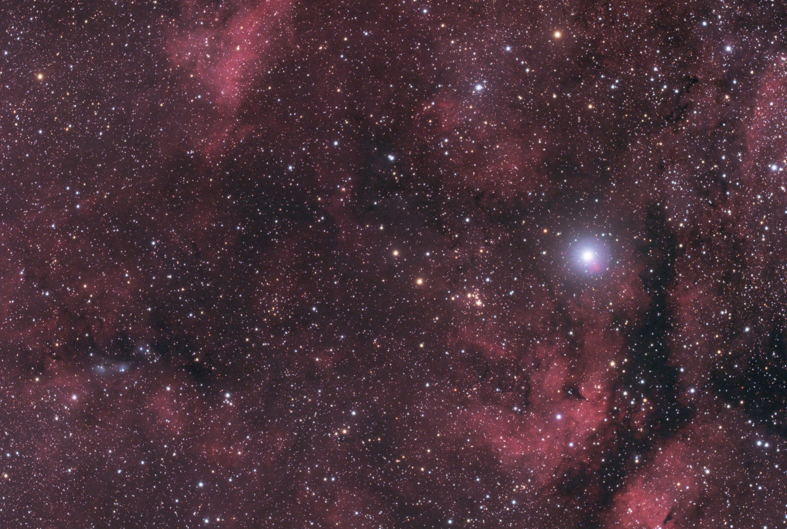 NGC6914-LRGB-new.thumb.jpg.1a2fb980b1a6930b29594f124661c4e6.jpg