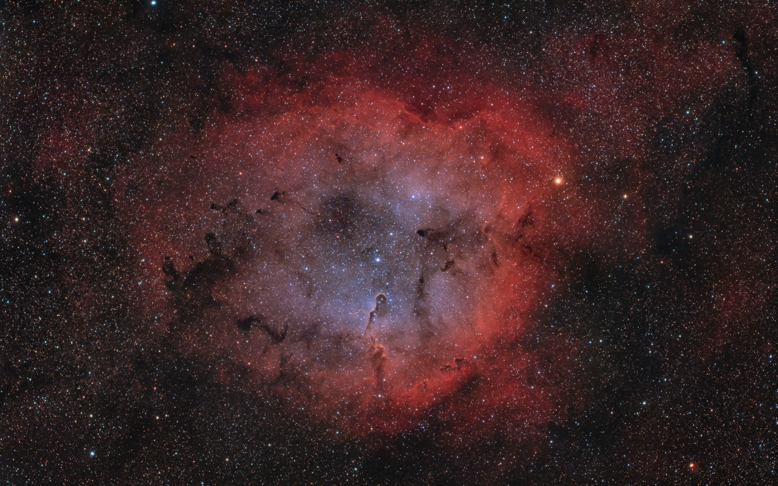 IC1396 wersja 1 astropolis.jpg