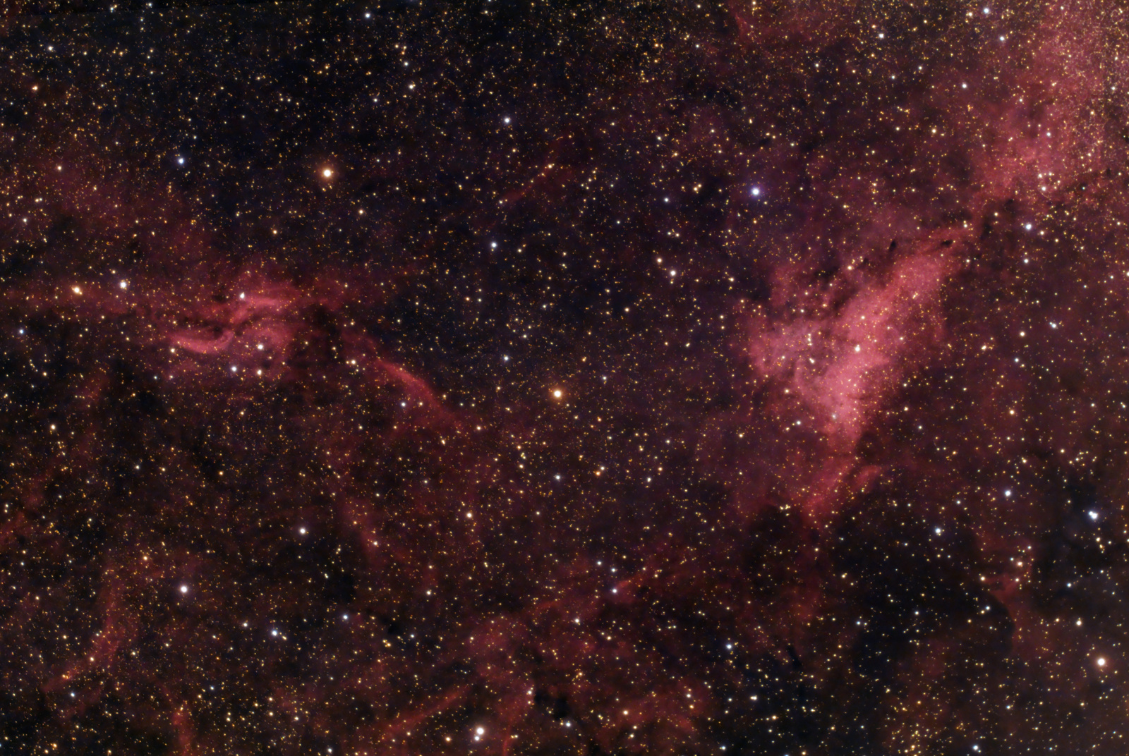 IC1318A-RGB-St-tony.thumb.jpg.06a03bac2370e6318fd1dc6fbc7f07e5.jpg