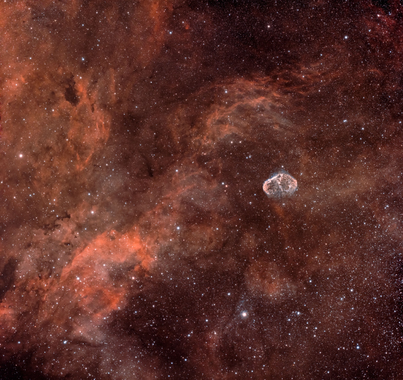 NGC6888_12_07-RGB-session_1-1-mod-St-neut-siril-ps_02.jpg