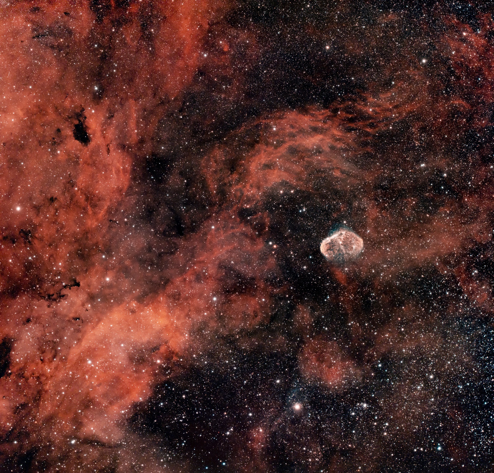 NGC6888_v4-RGB-session_1-St-ps-small.jpg