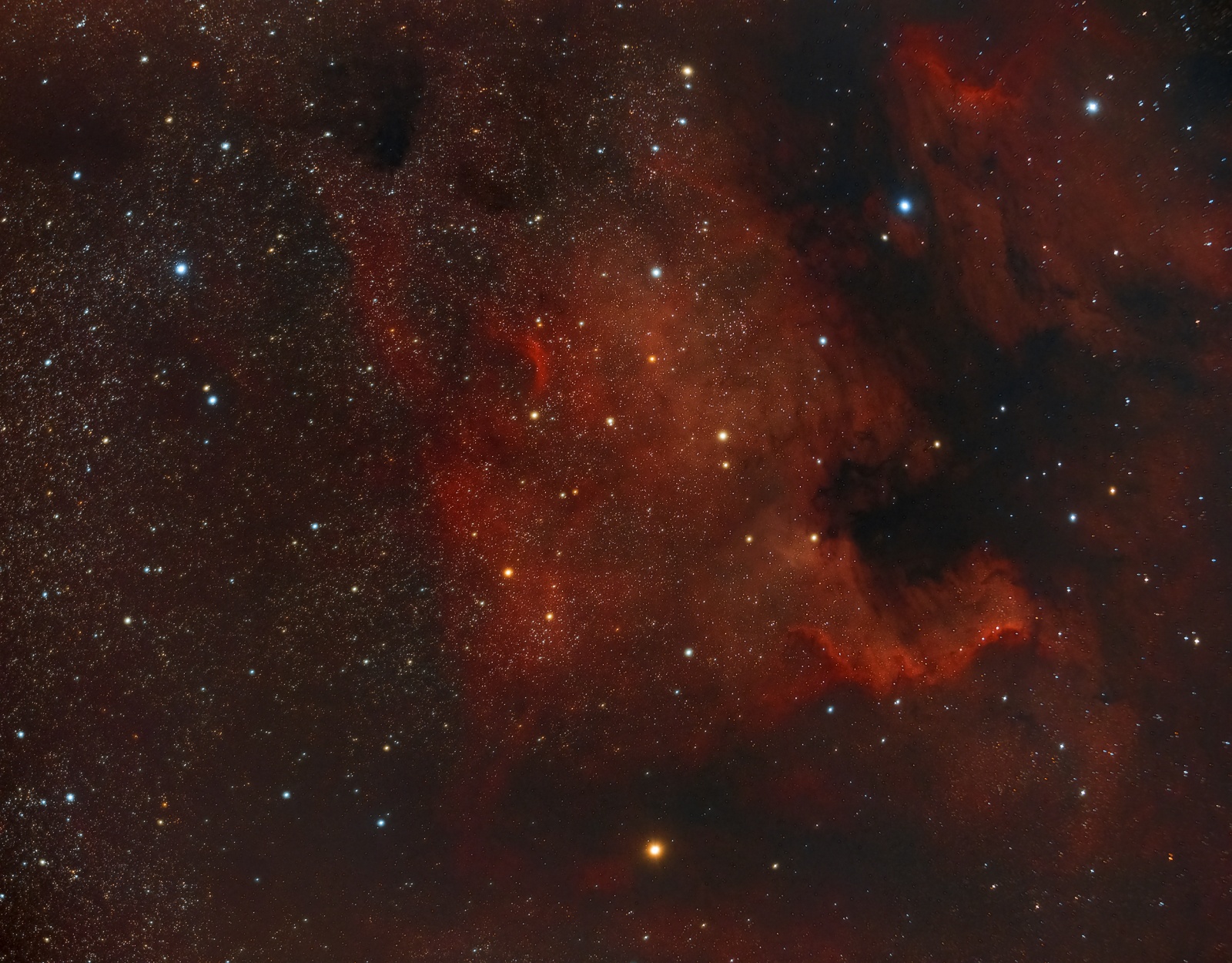 NGC7000_sm_2.jpg