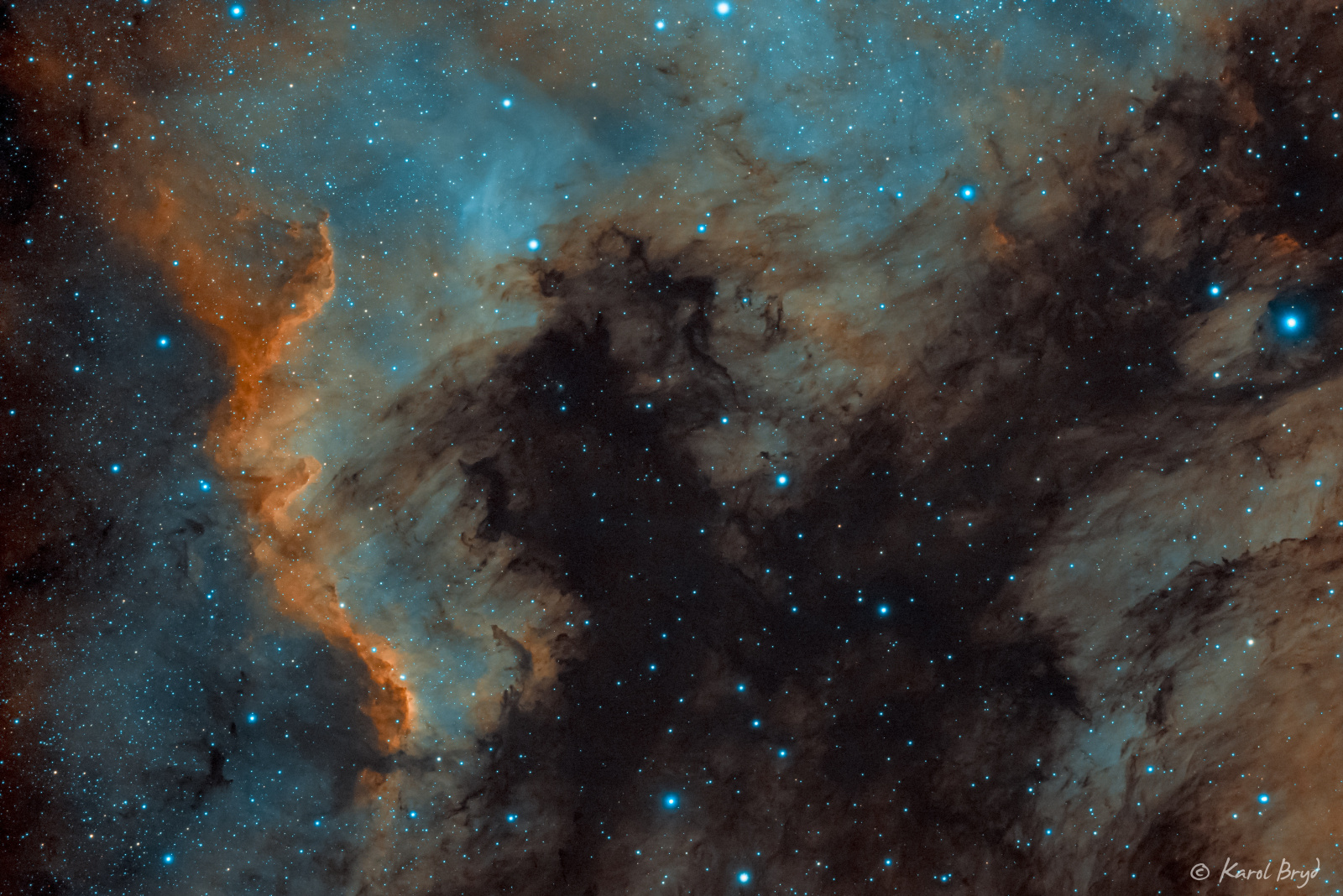 NGC7000_1.jpg