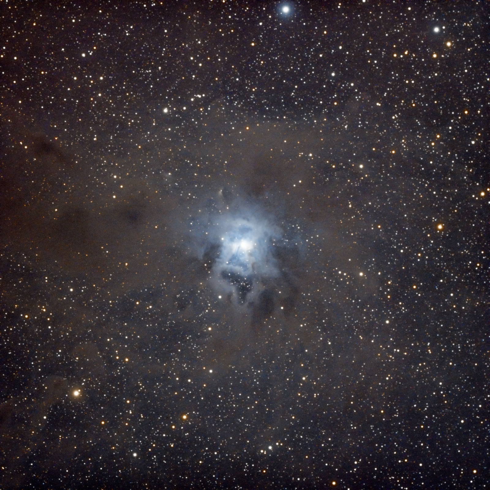 NGC7023.thumb.jpg.90b34f3ab0f89ea4142a94a86defaab7.jpg