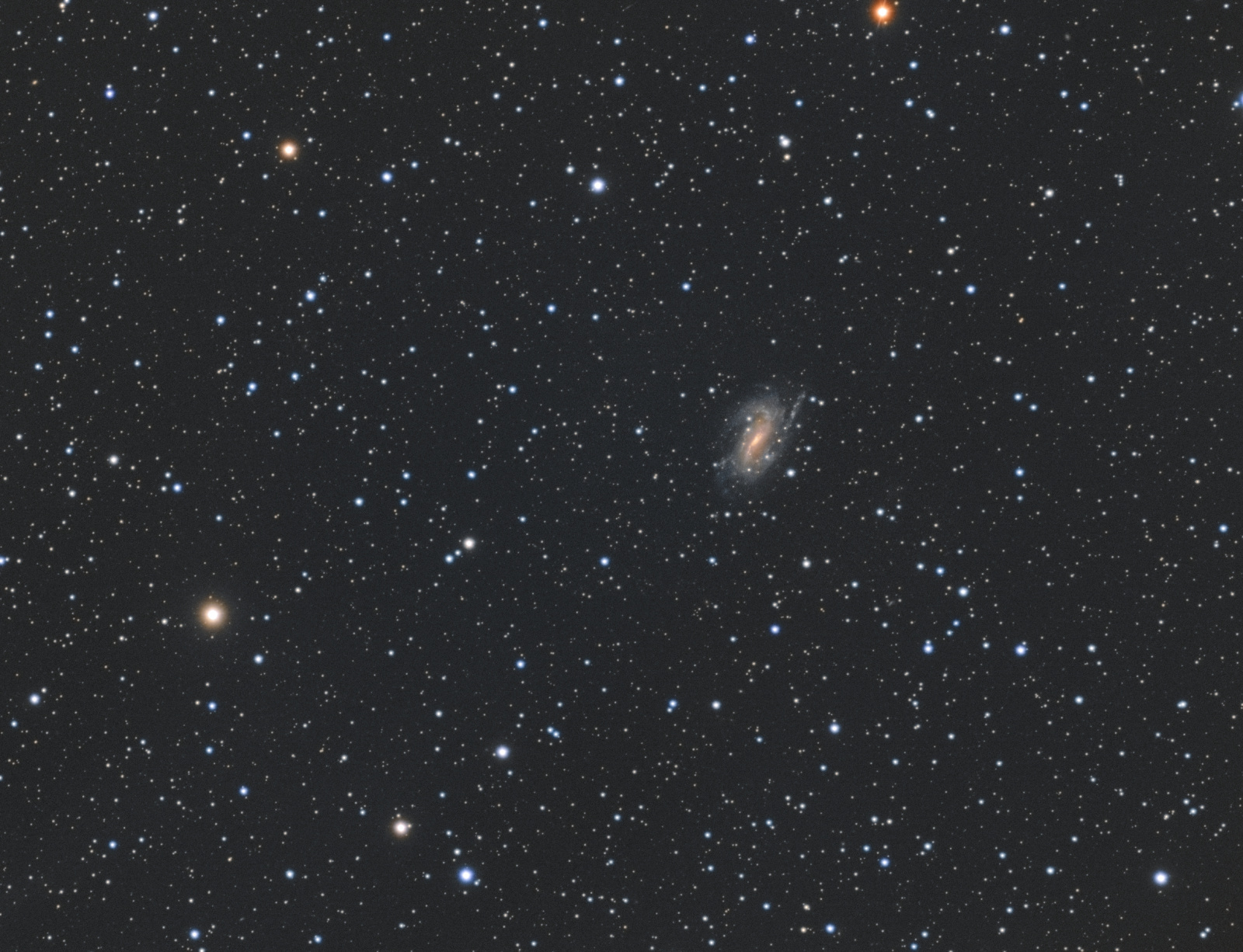 NGC 925.jpg