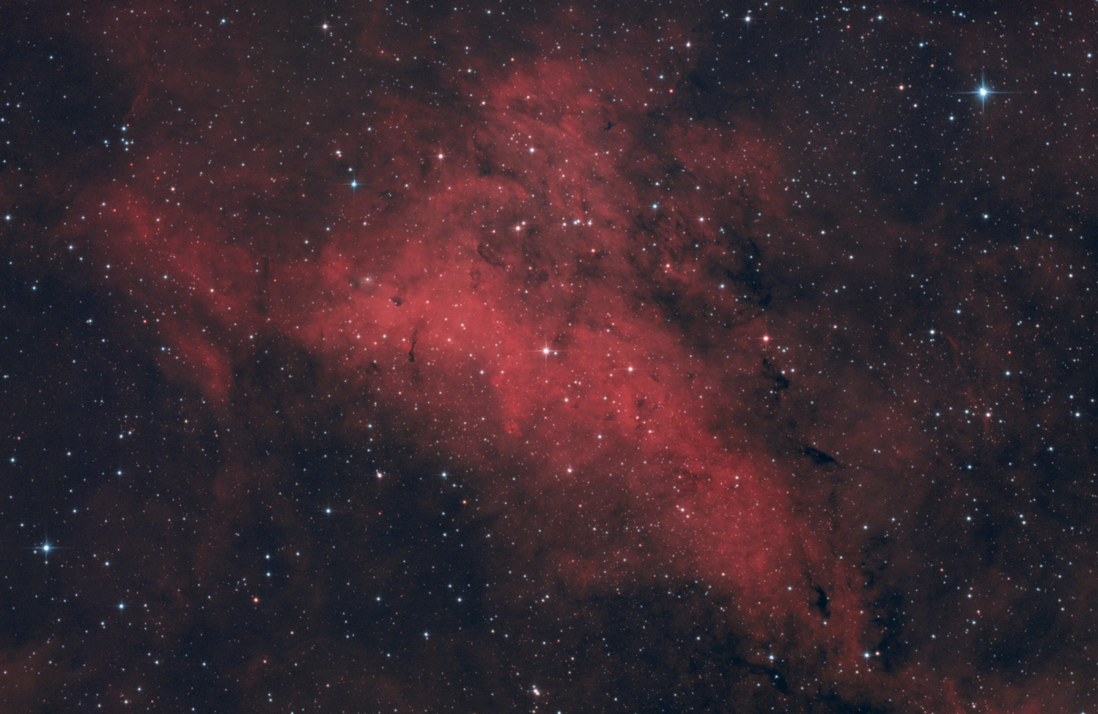 IC1318A_V3_APjpg2000px.jpg