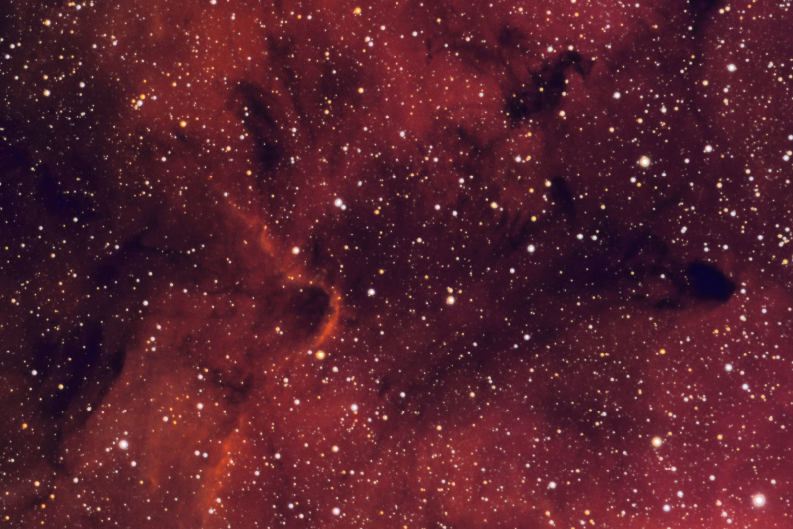 IC1396_Detail_03.jpg