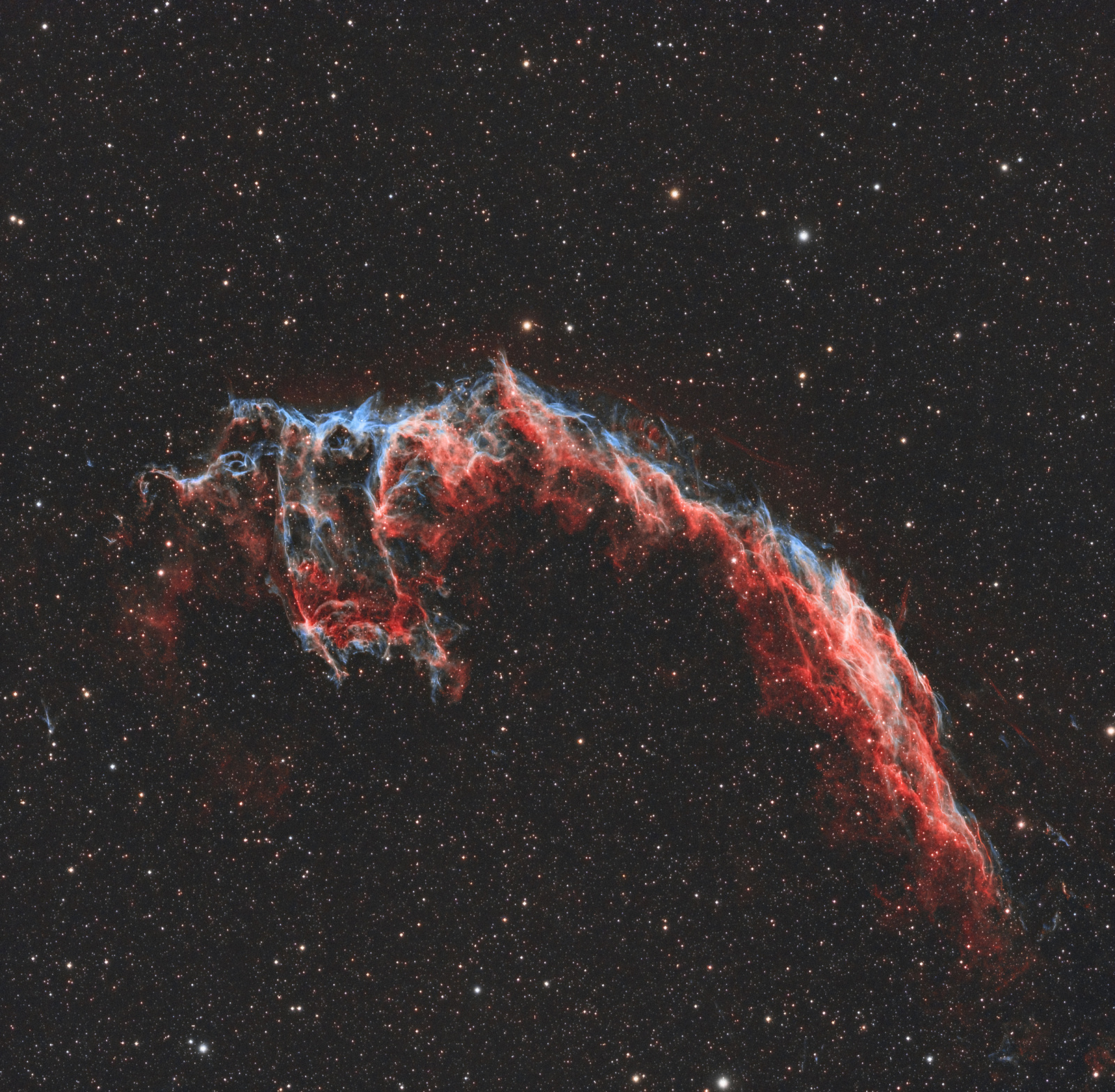 NGC6992_AP.thumb.jpg.dce3ba02731a7b64a3162f13a18e1607.jpg