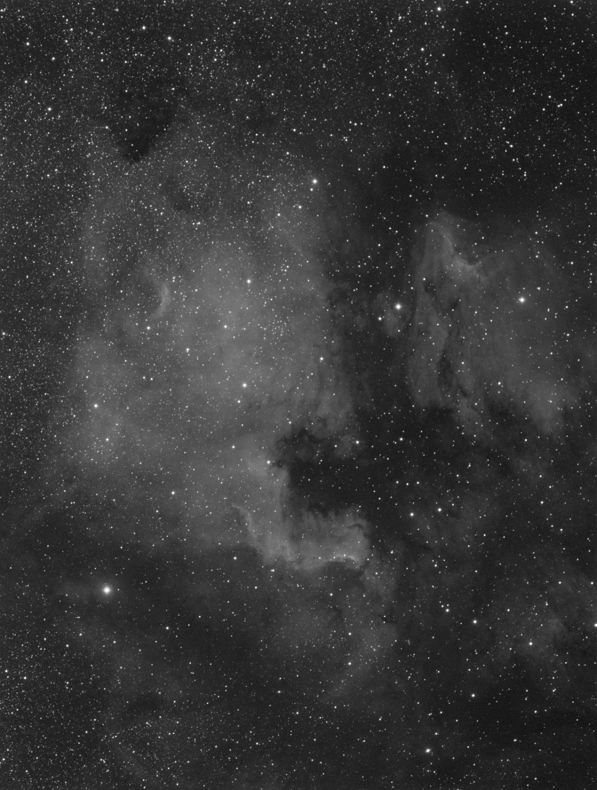 NGC7000.thumb.jpg.363c0589440ed36eed2ae0de58d78172.jpg