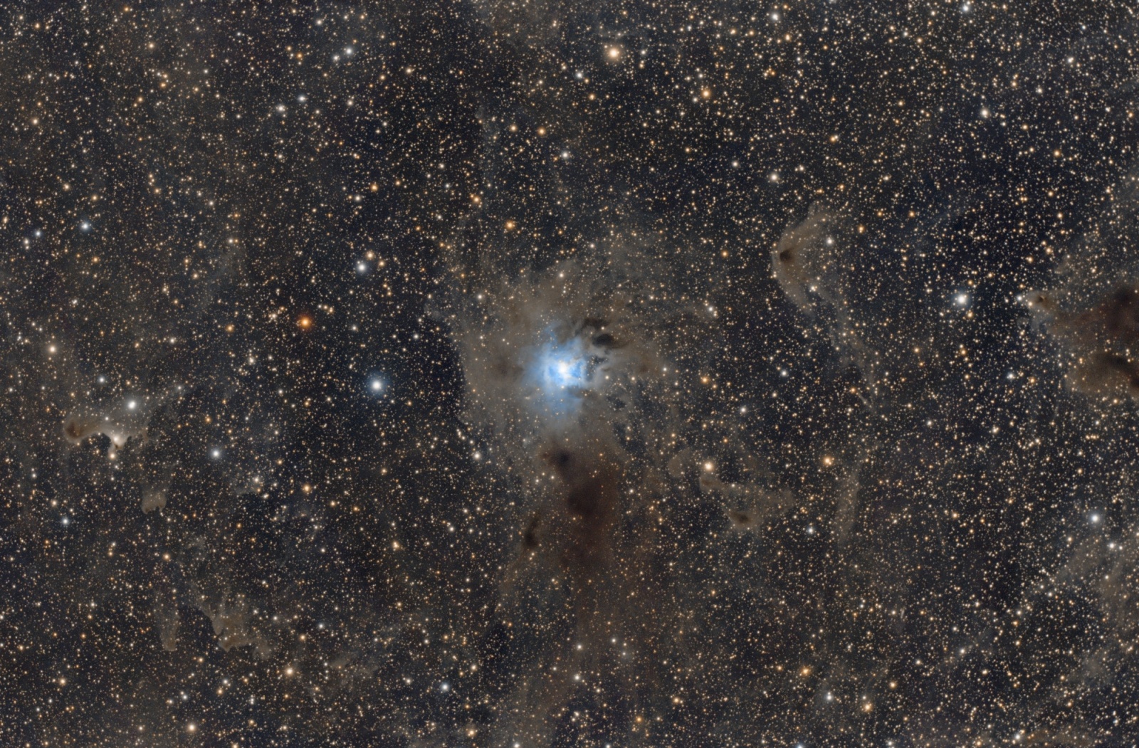 NGC7023_v2.02_size_M.thumb.jpg.2a6857e3f601e62412c61608ec457389.jpg