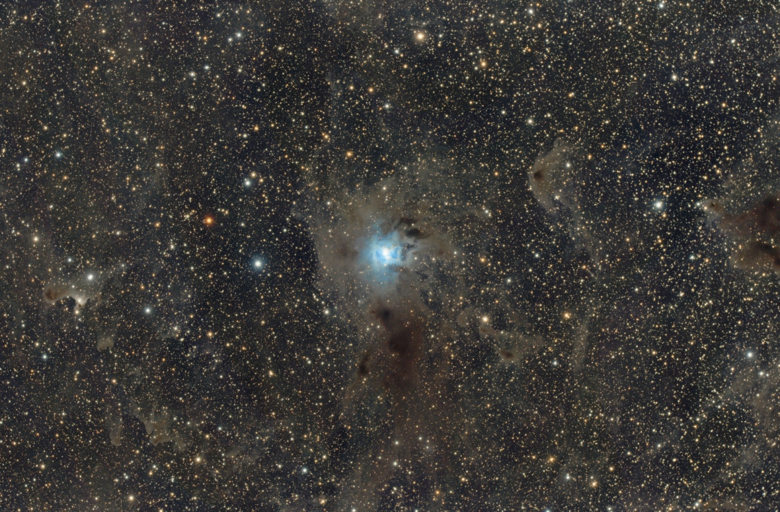 NGC7023_v2_01_size_M.thumb.jpg.e486cbf65e544c9e9eb67db90cea36ee.jpg