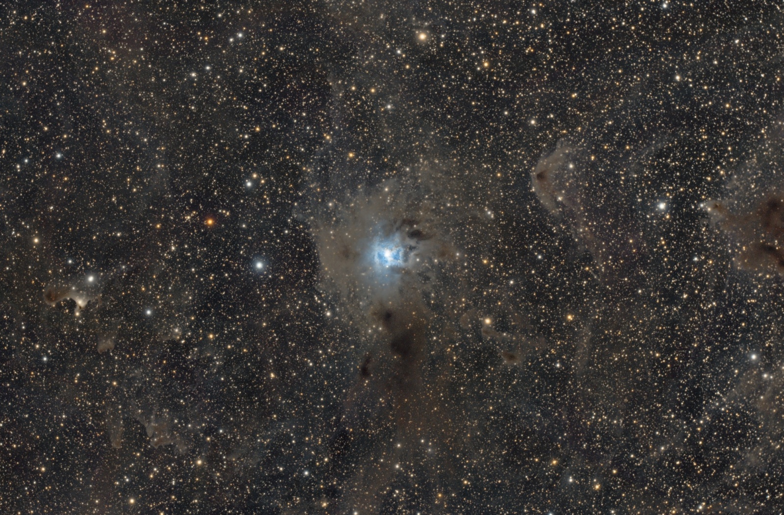 NGC7023_v3.01_size_M.thumb.jpg.0008e349097ee5fb23f2fb503162b7a2.jpg