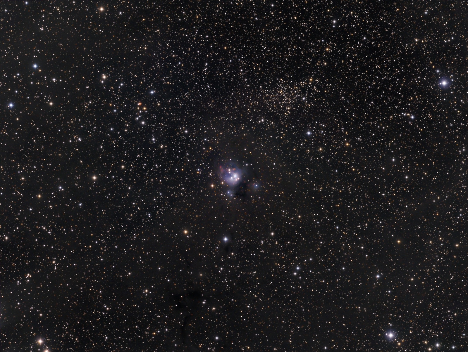 1552886081_NGC7129i7142.thumb.jpg.3e3b55be13ab46e1de4379fa99f9fa1c.jpg
