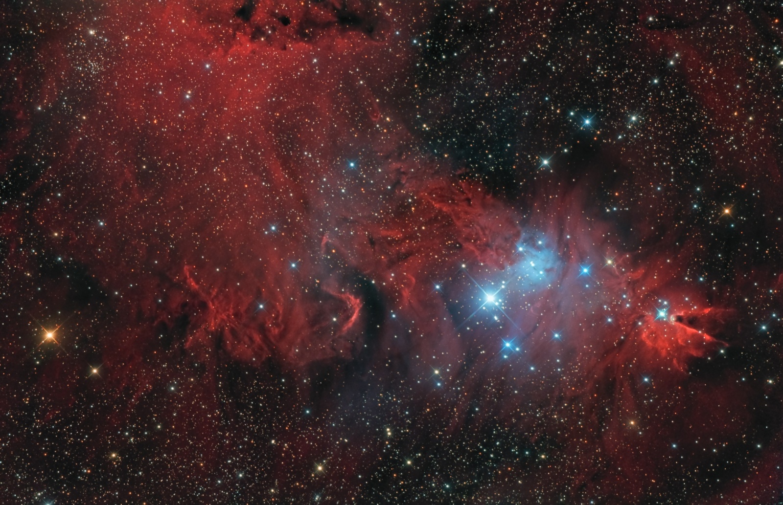 NGC2264 astropolis.jpg