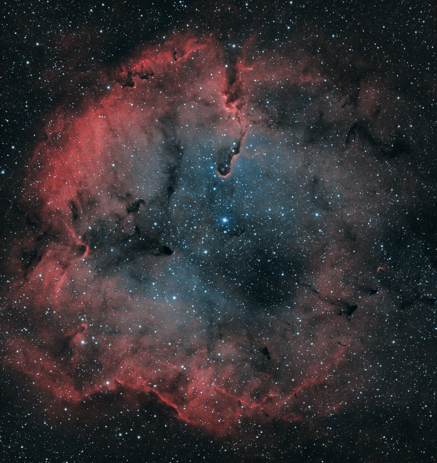 IC1396-1.jpg
