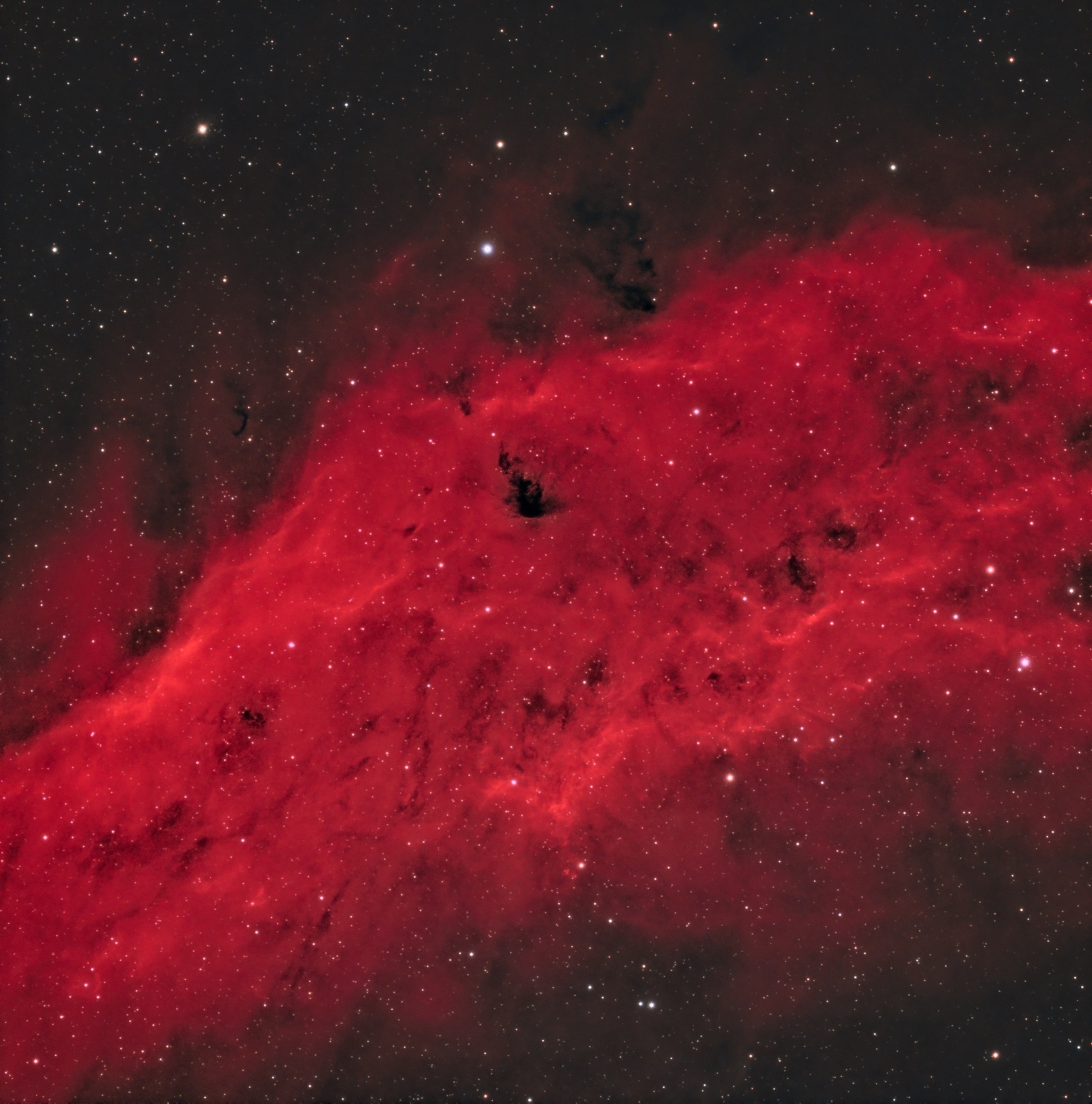 NGC1499_AP.thumb.jpg.83b7642fdecaea2c05c1596e48dfe3b1.jpg