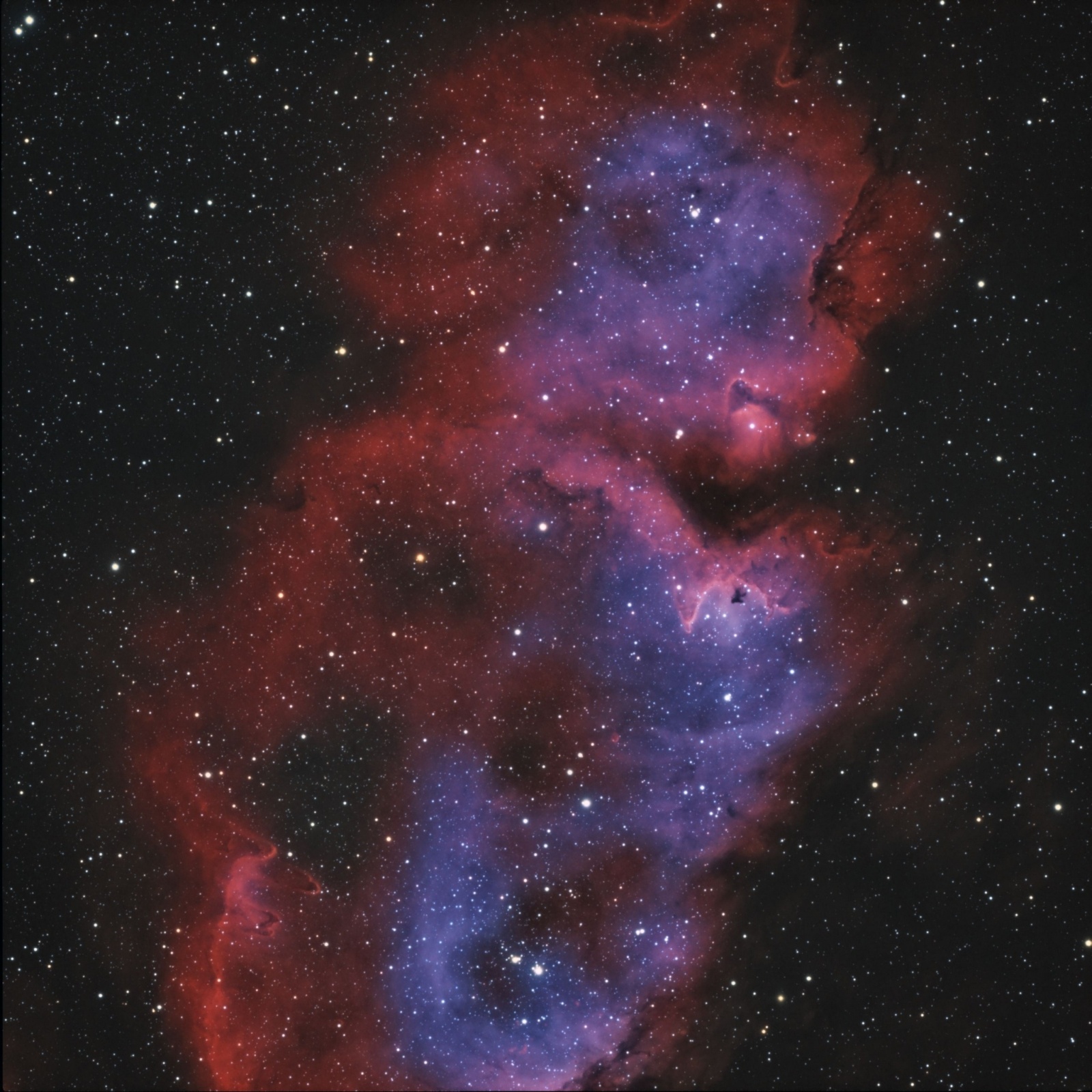 NGC1848AP.jpg