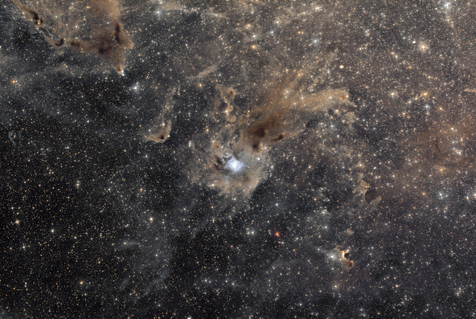 NGC7023.jpg.0081dadf6dd2c1b742126488fafe00d7.thumb.jpg.c0d817f7abb57bcde1afced001810685.jpg