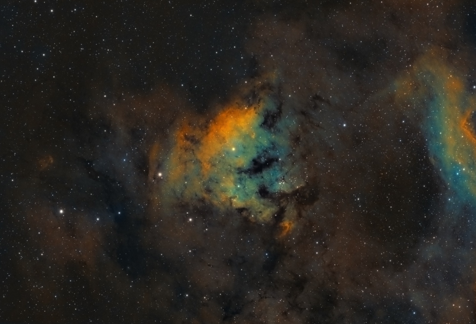 NGC7822_sho.jpg