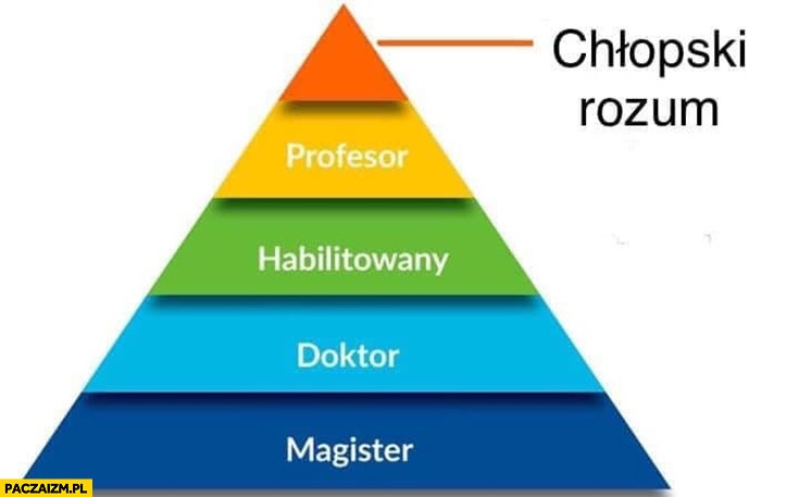 magister-doktor-habilitowany-profesor-na-szczycie-piramidy-chlopski-rozum.jpg.5b4e5663787dd3670b9f72d19e562cfb.jpg