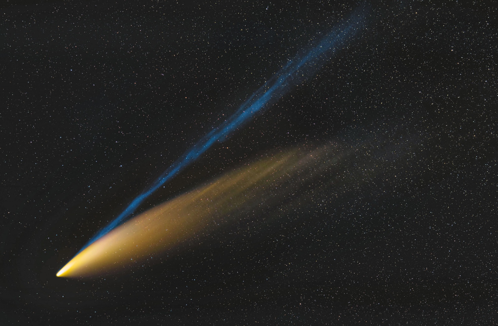 Comet-C2020-F3-Nowise-7s.thumb.jpg.0112594b2d1c267e2b27496ca6b3aabb.jpg
