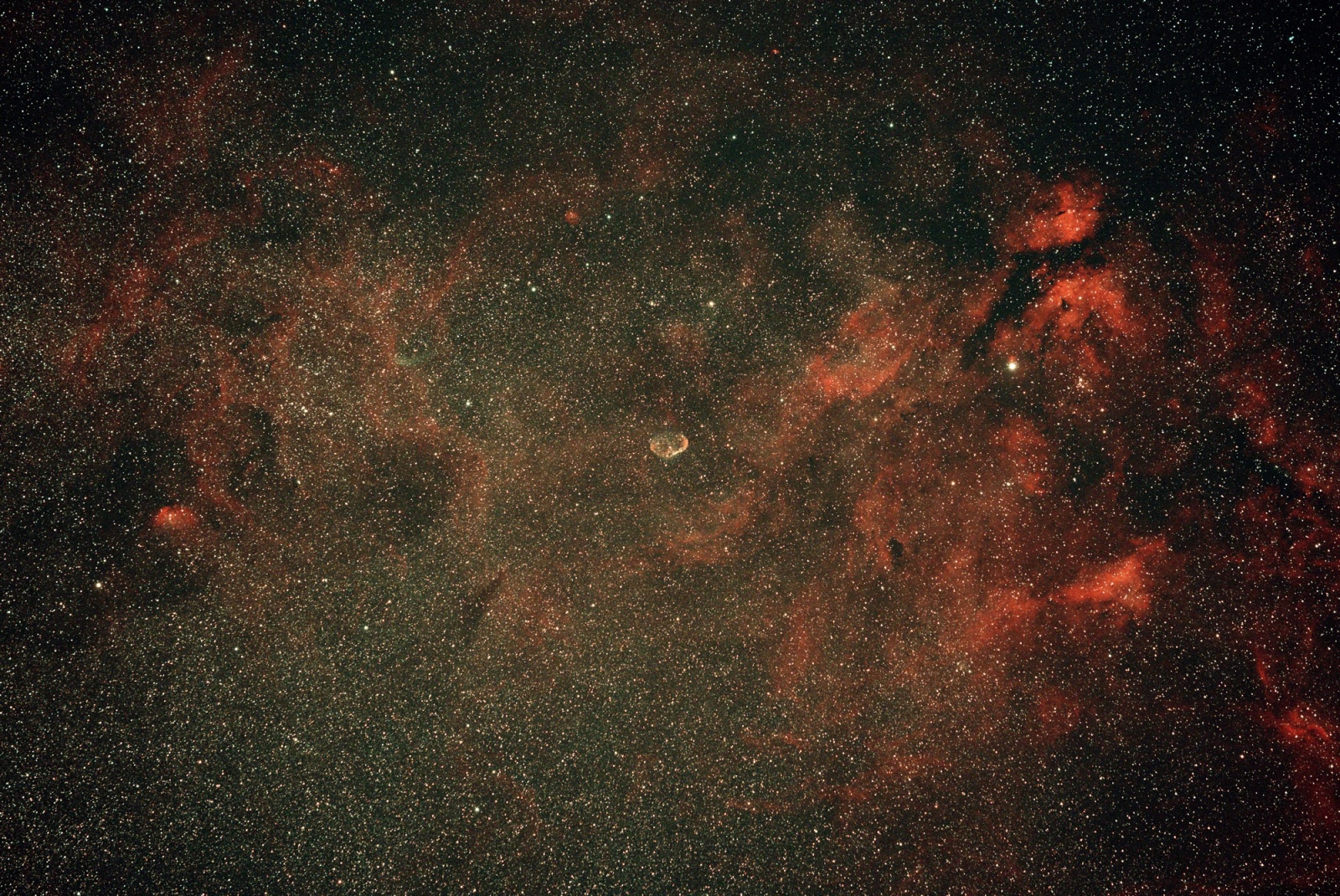 Crescent_Nebula_2021_09_10_23_08_07_9_80_240_00s_0009_RGB_VNG.jpg