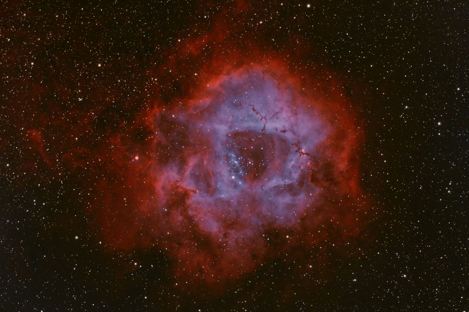 NGC-2237_RGB_Process_cr.jpg