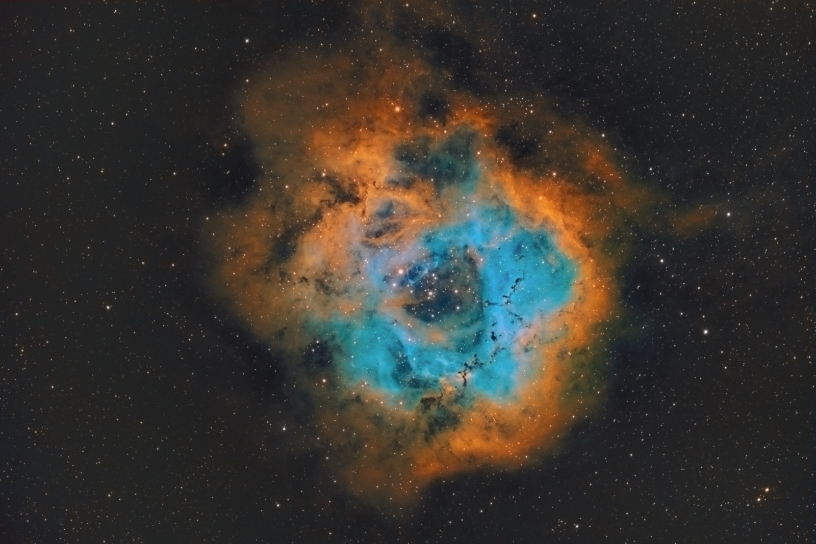 NGC 2244 Rosette nebula.jpg