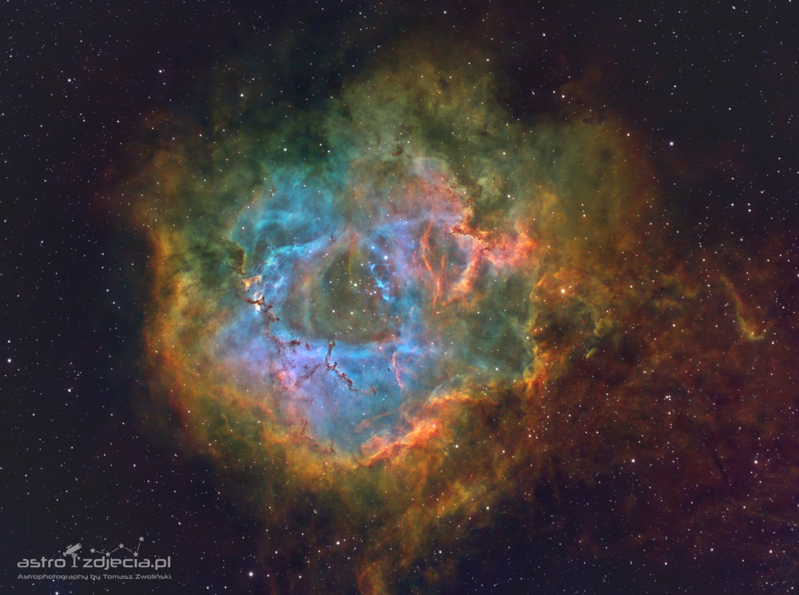 NGC2244_Rosette_Nebula-test-crop.thumb.jpg.0a9bd407251f5f962faaaa941d6e3877.jpg