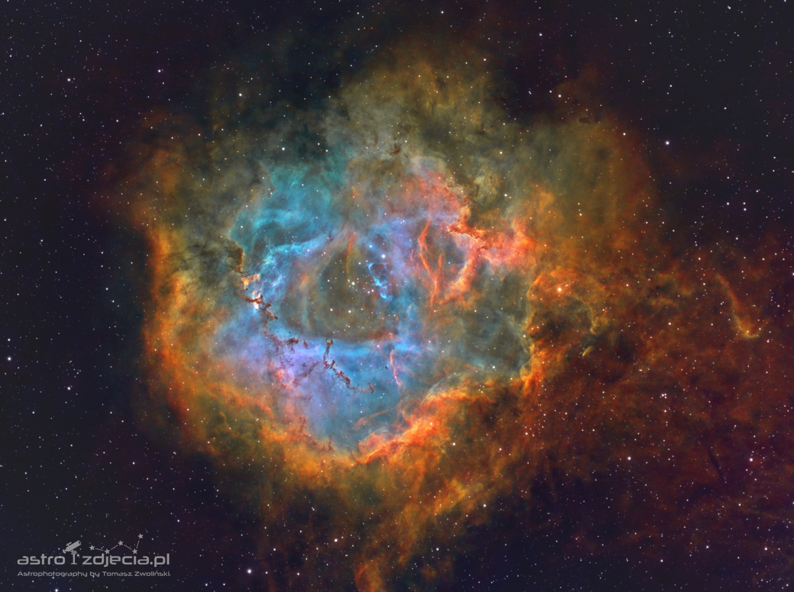 NGC2244_Rosette_Nebula-test-crop2.thumb.jpg.f0978ac2bb20917d03106a48830d3e6f.jpg