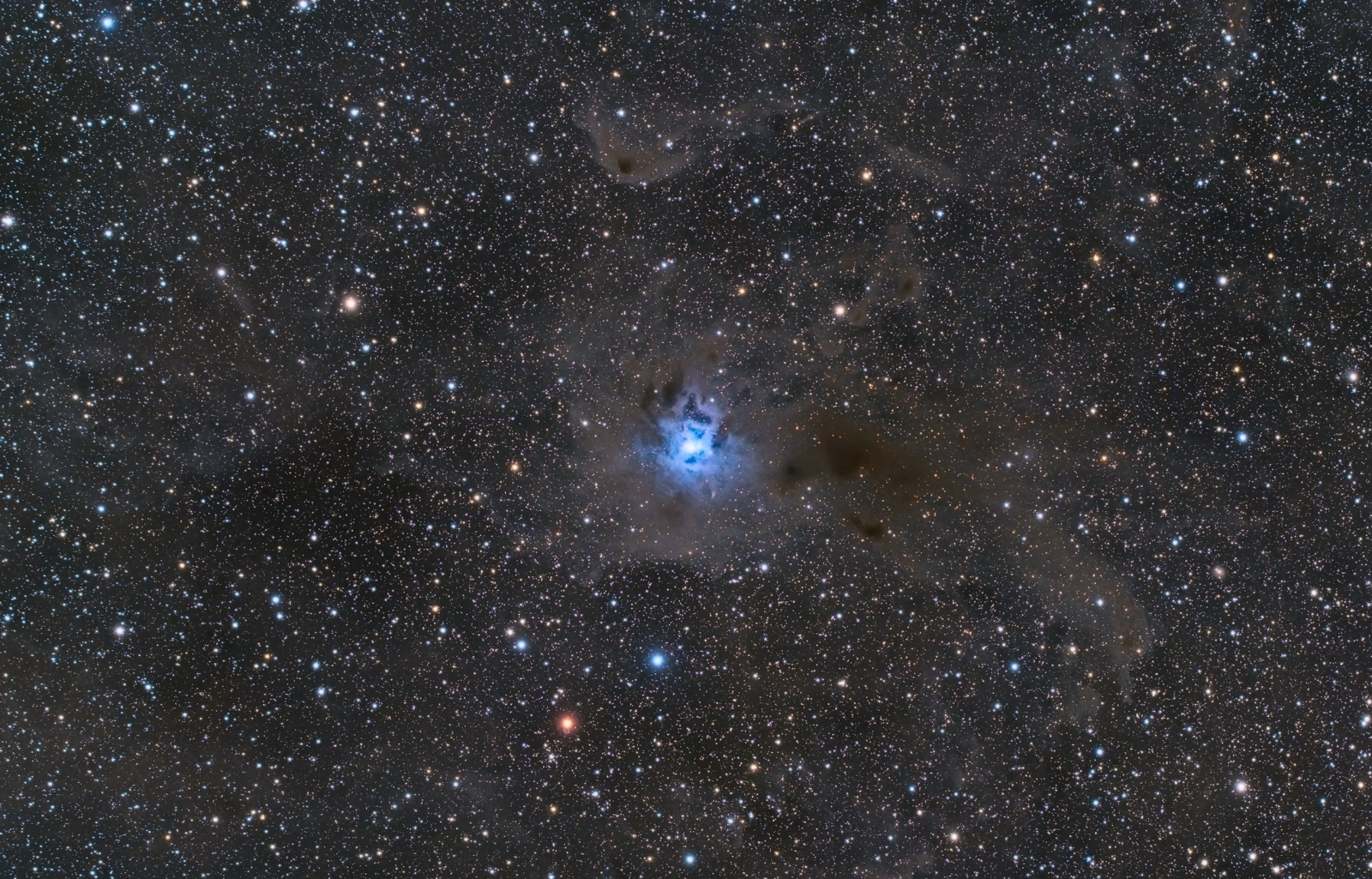 NGC7023_v2.thumb.png.c28a51c1872bbd20a33aee5db3e7b29f.png