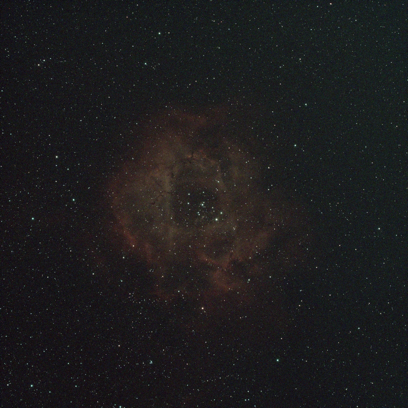 NGC_2244_Light_120_secs_002_d.thumb.jpg.57d94a5613a1fa545671a6ce7bf22eab.jpg