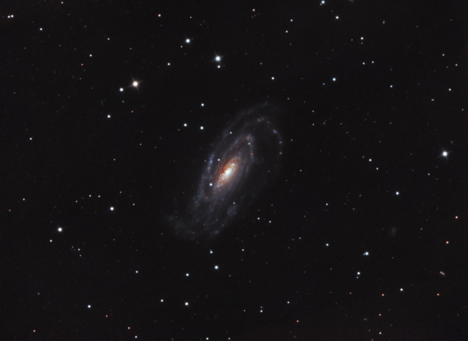 551636084_NGC50300JSzymafullFinalv650.thumb.jpg.fb884624829b790c2fba3269793b7787.jpg