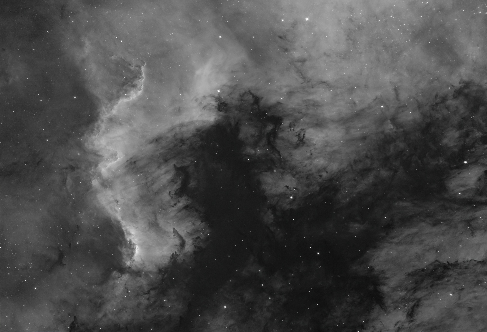 fl_NGC7000_resize66_grey.thumb.jpg.317ce4d0b6545622a55bbcc600b6a899.jpg