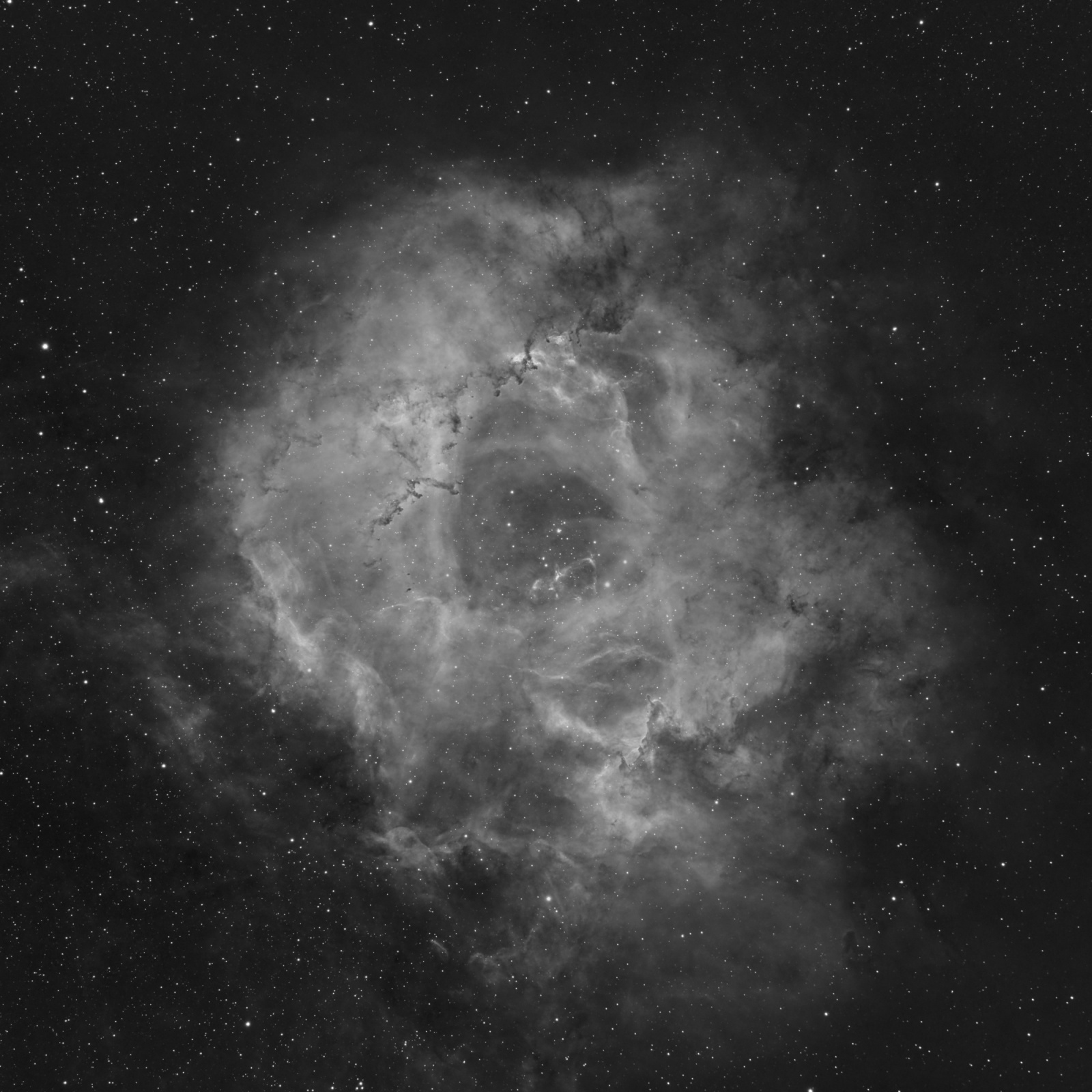 NGC2244_01.thumb.jpg.846d8ec853309e7fc481b6b5973a36c3.jpg