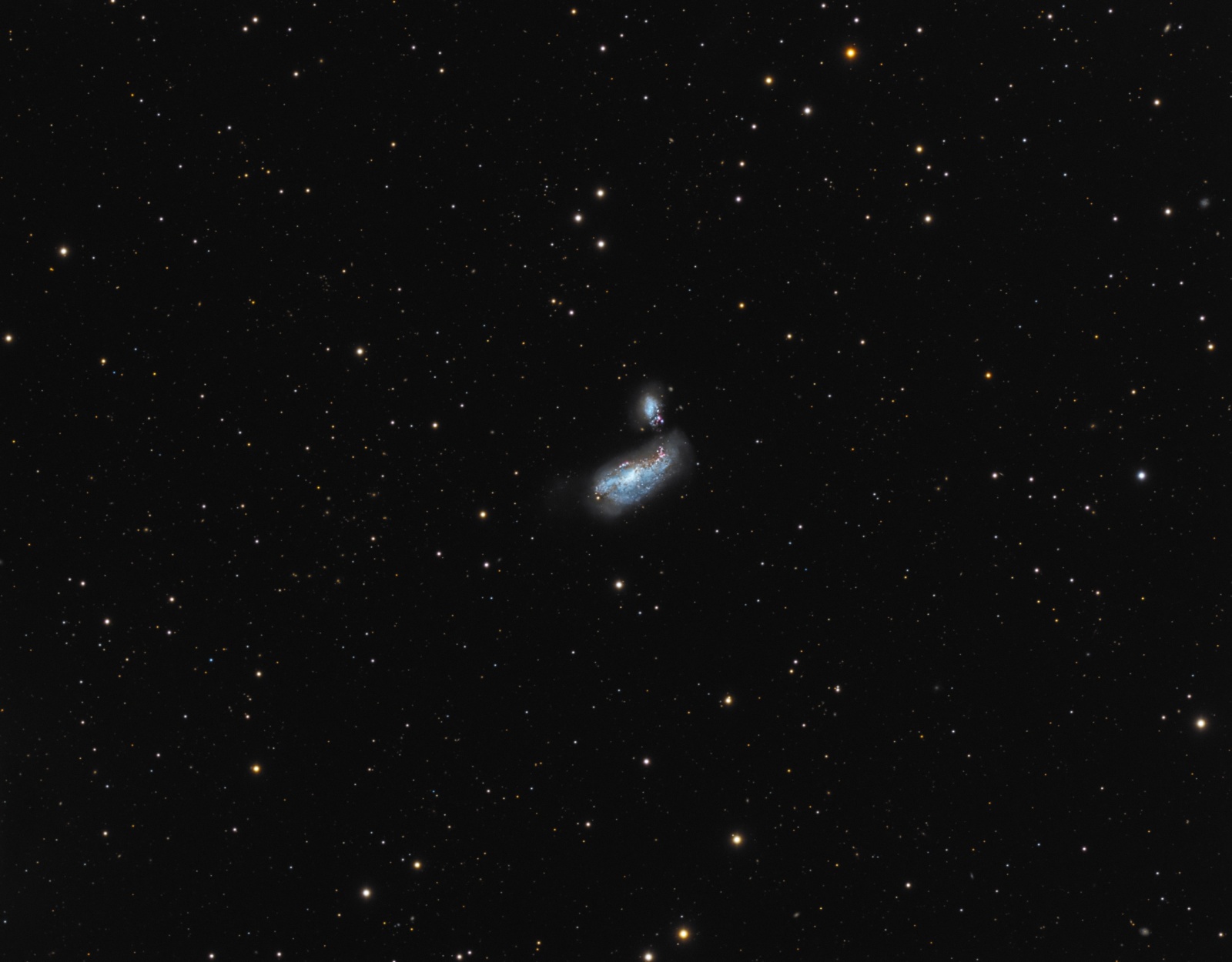 NGC_4490.jpg