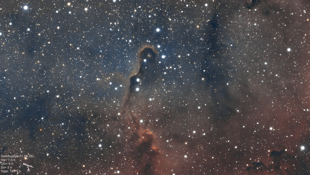 IC 1396 Mgławica Trąba Slonia