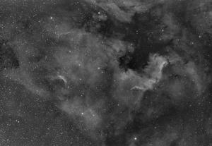 NGC 7000 Ameryka.jpg