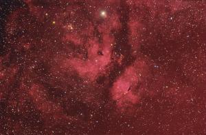 IC 1318.jpg