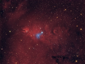NGC_2264.jpg
