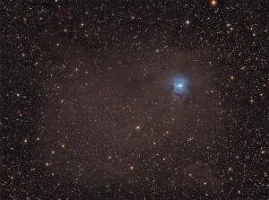 NGC 7023 Iris.jpg