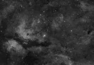 IC1318 obłoki Łabędzia.jpg