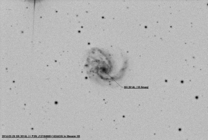 SN 2014L - M99 inwert.jpg